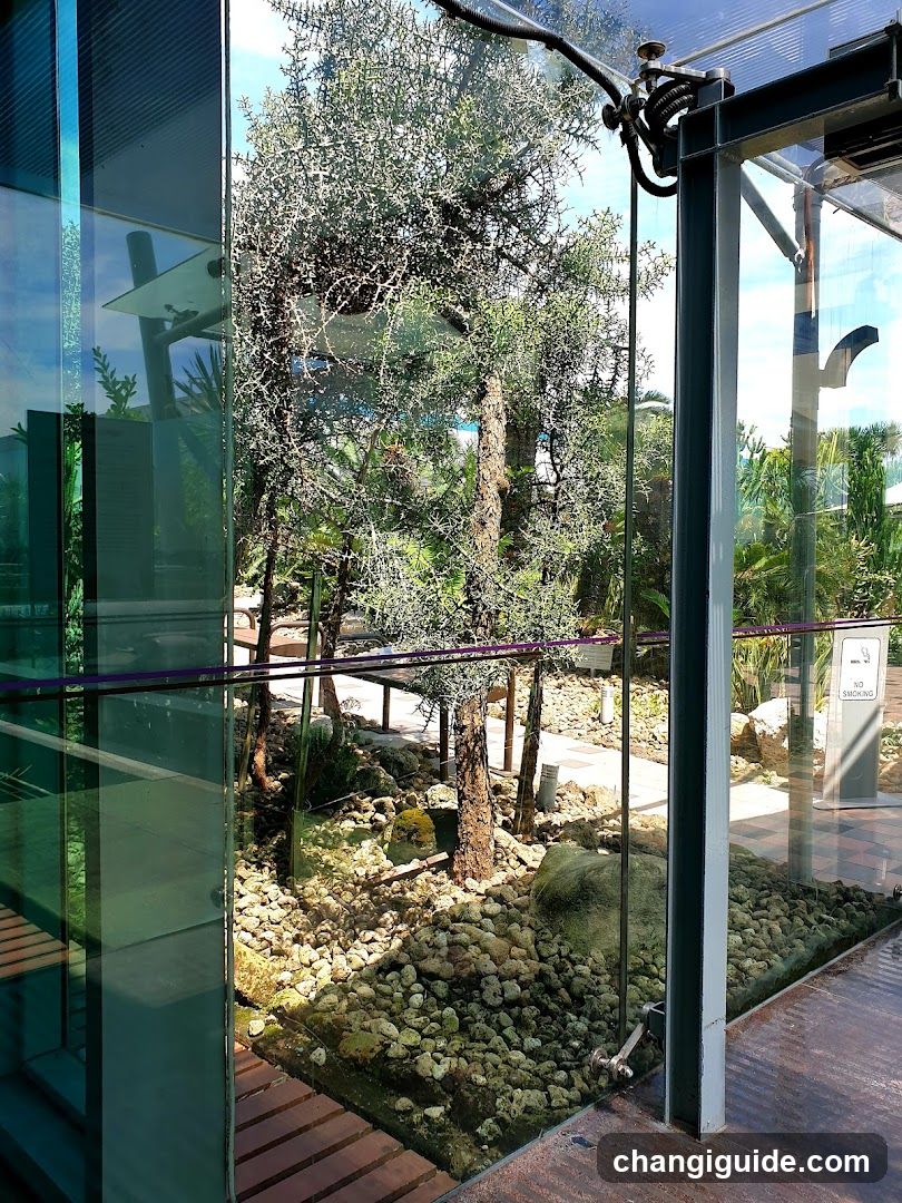 Glass Enclosed Garden View