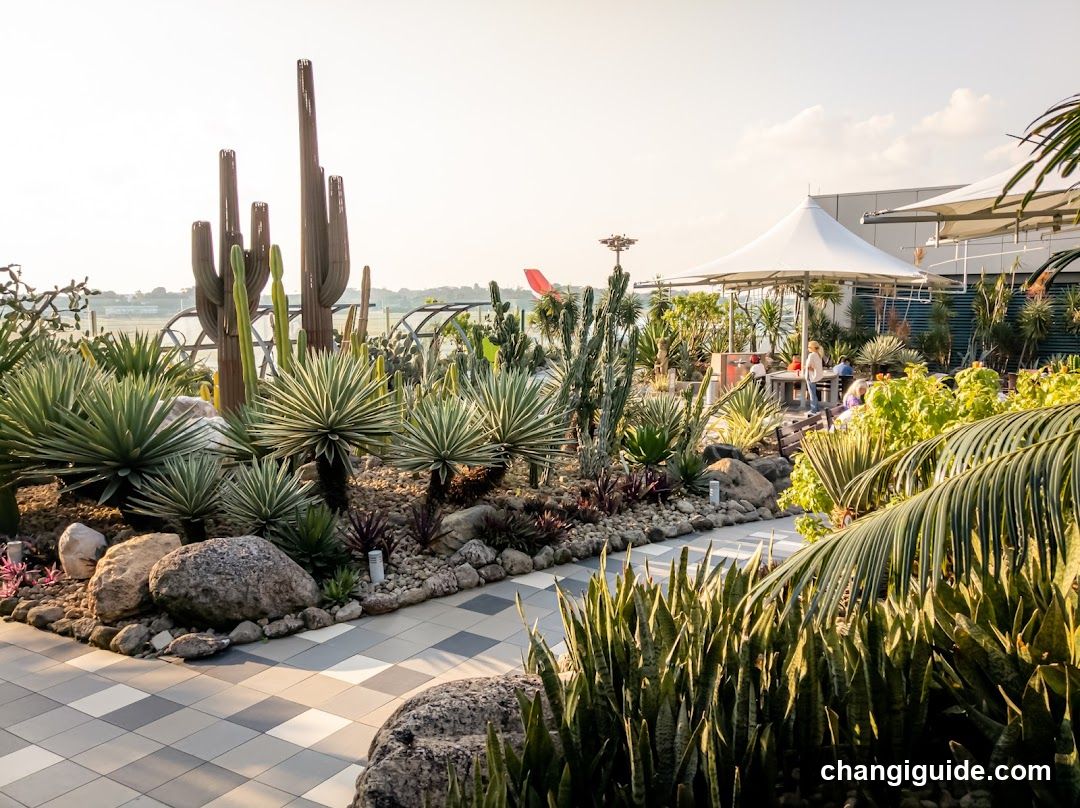 Cactus Garden with Outdoor Seating Area