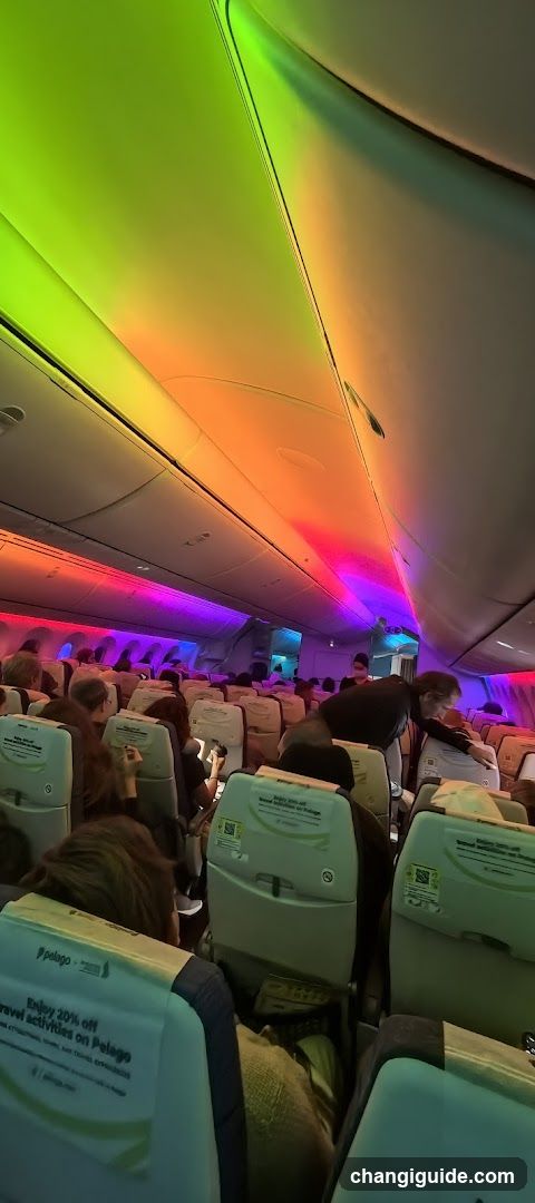 Airplane Interior with Colorful Lighting