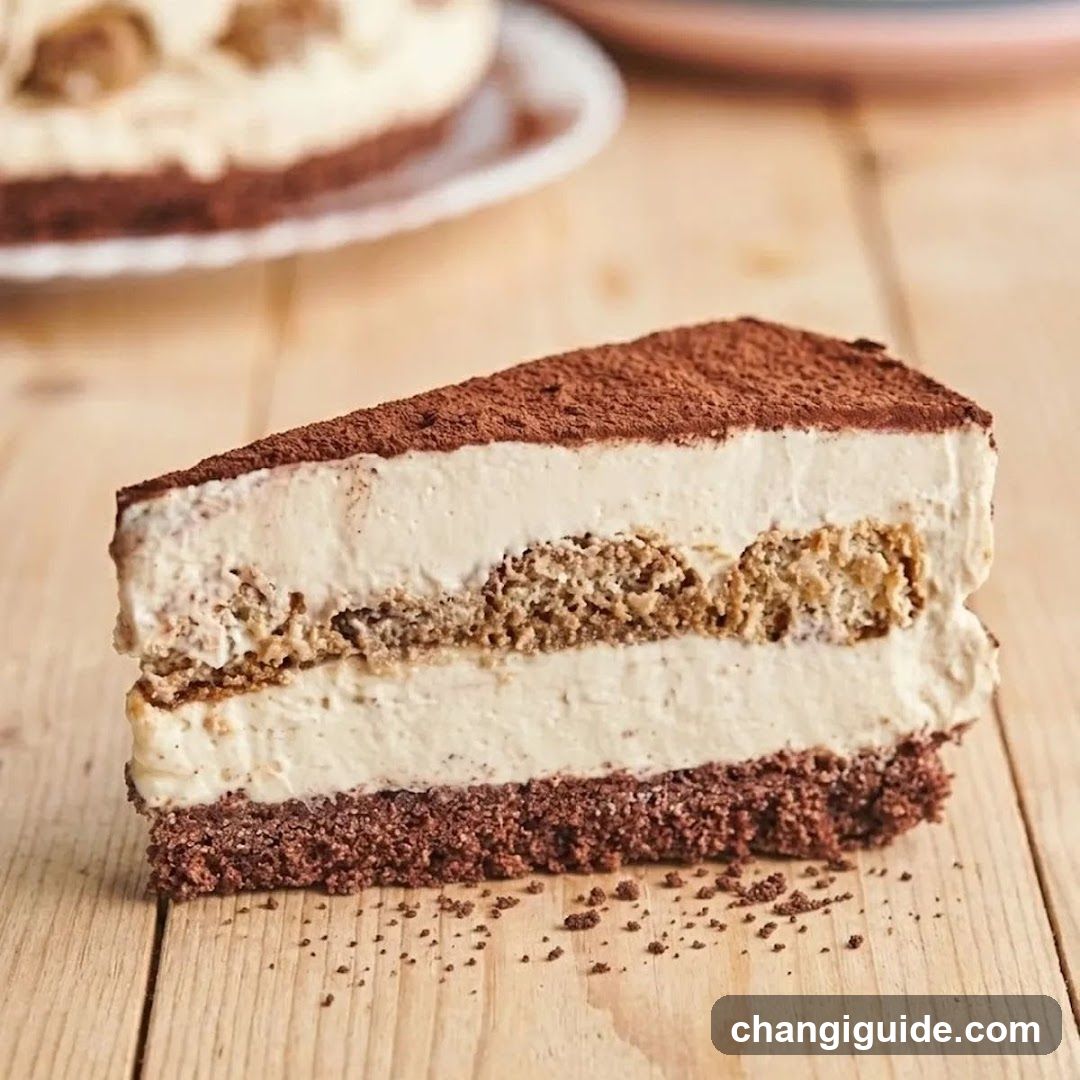Tiramisu Slice