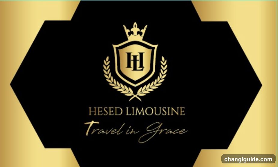 HeSED Limousine Logo Design
