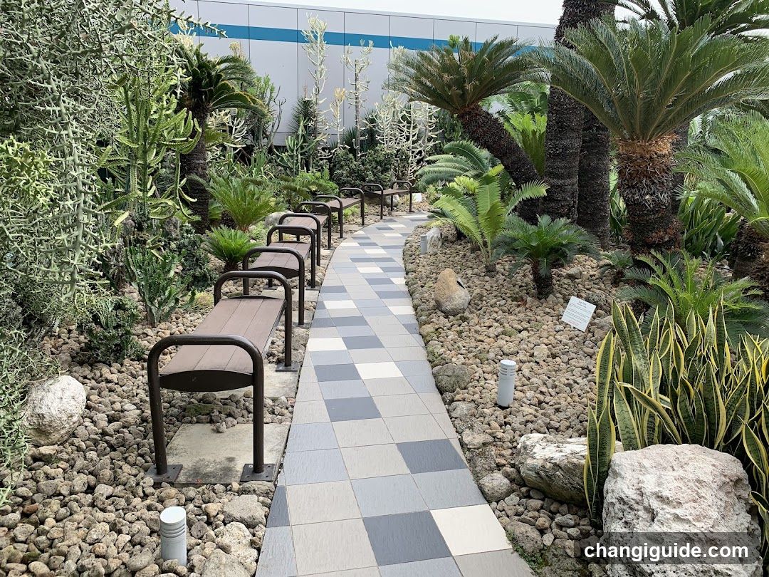 Garden Pathway with Benches and Plants