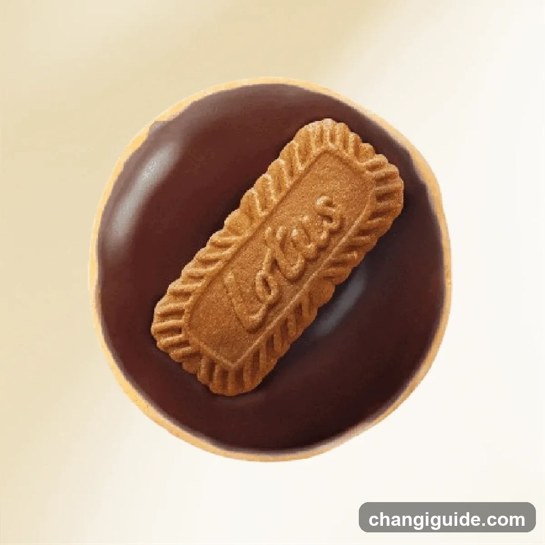 Lotus Biscoff Cookie with Chocolate Glaze