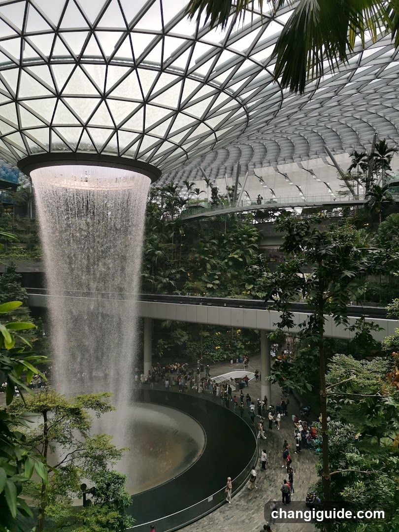 The Rain Vortex at Jewel Changi Airport
