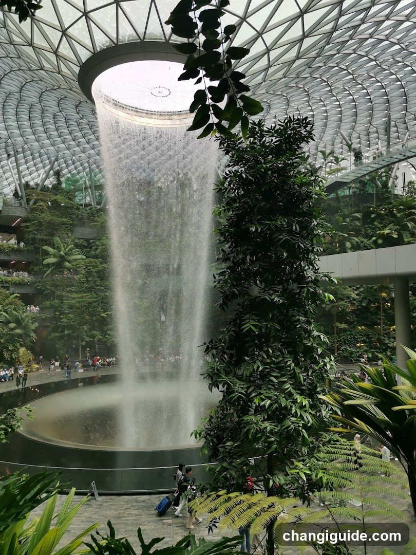 Indoor Waterfall Garden