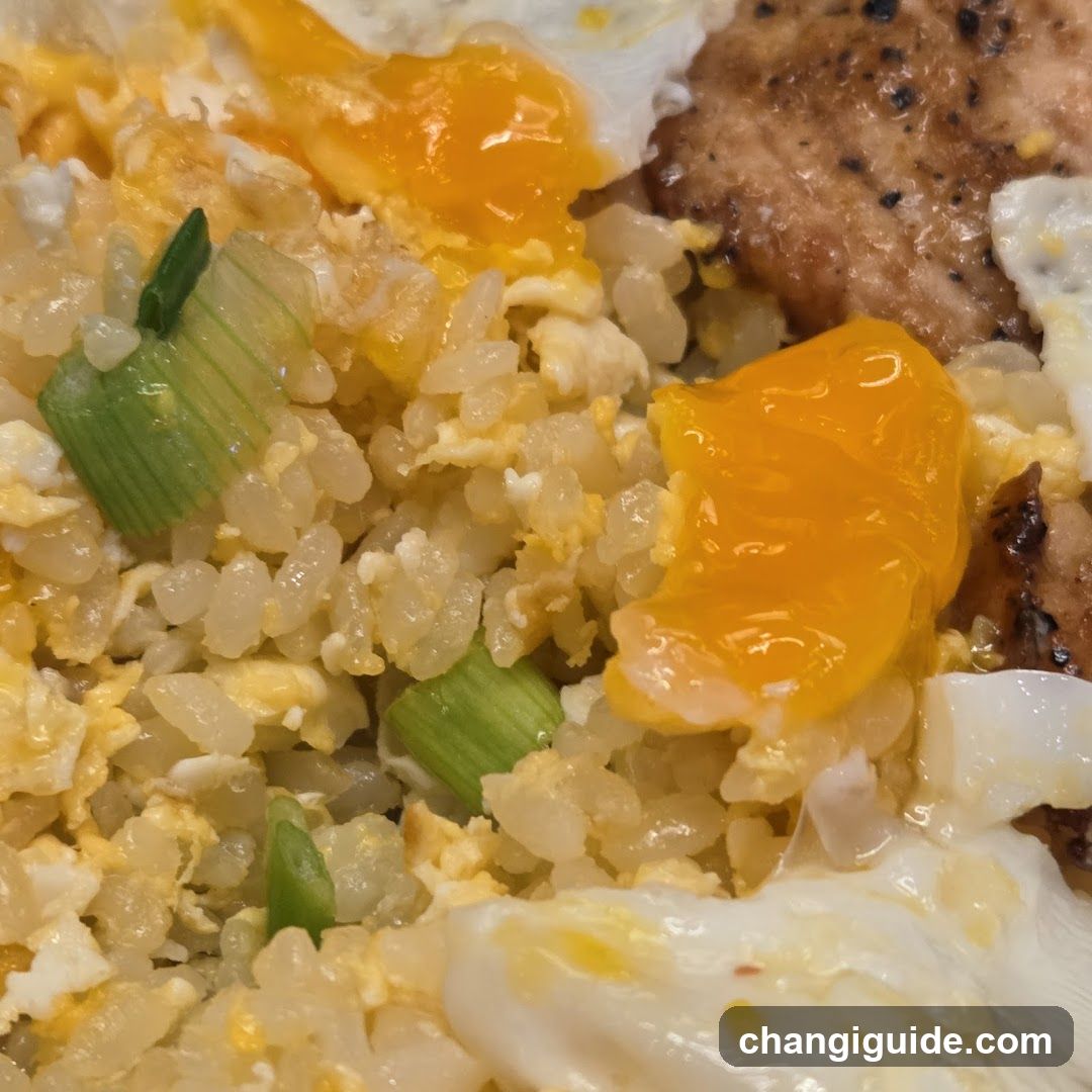 Fried Rice with Egg and Pork