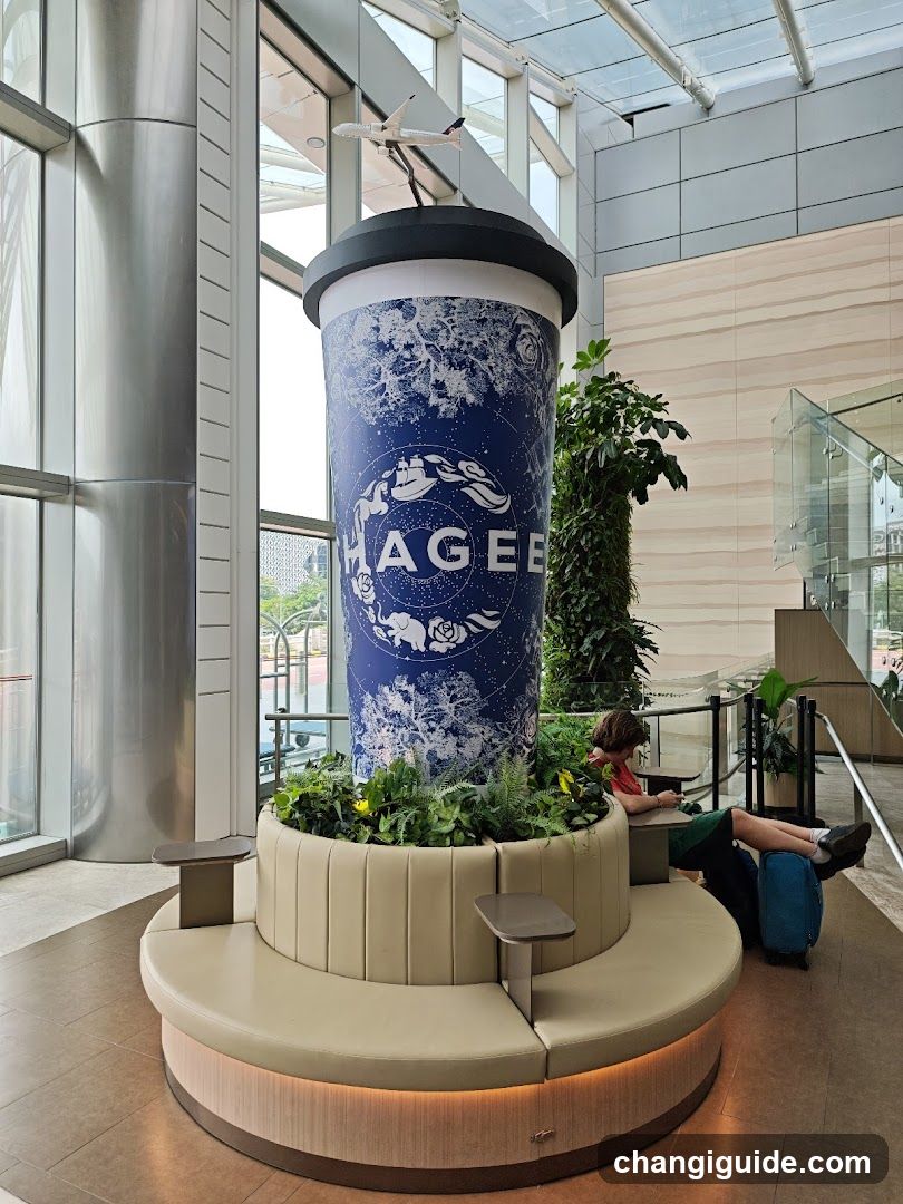 Haggee Coffee Cup Display