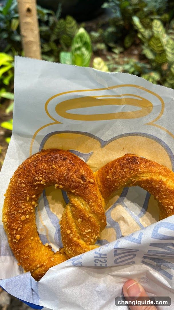 Pretzel with Crumbs
