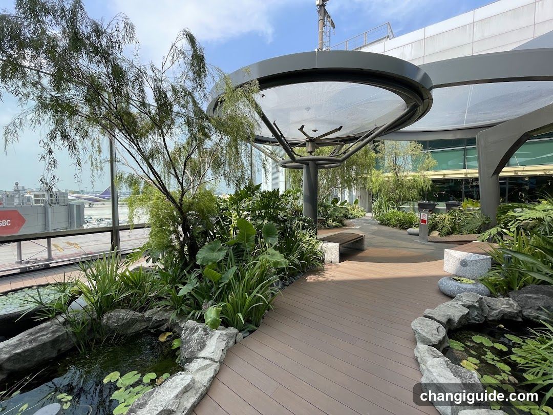 Airport Garden View
