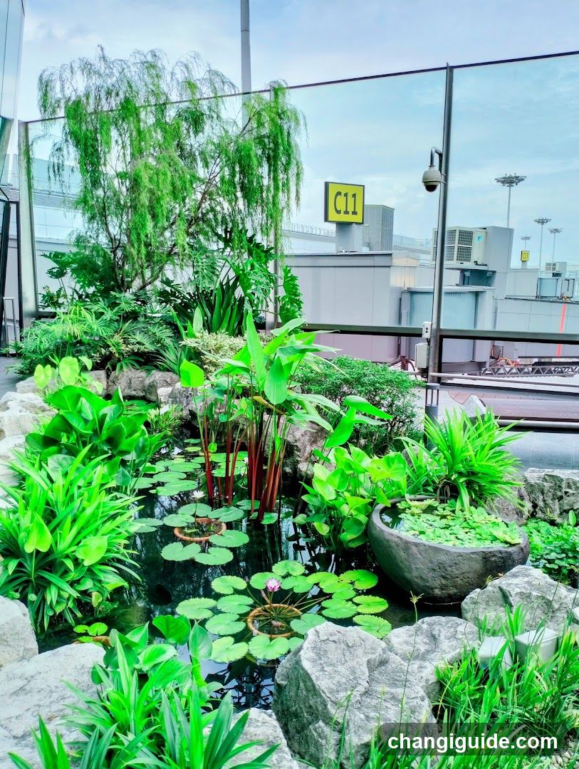 Airport Garden Pond Scene