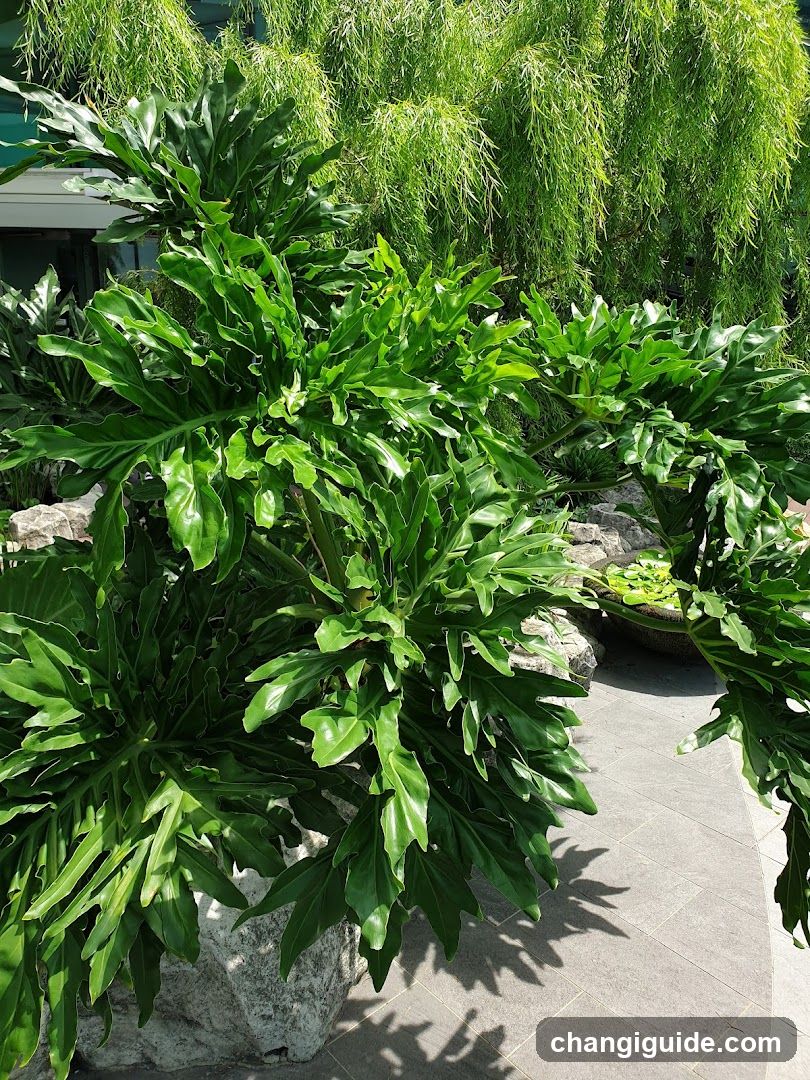Lush Green Plants in Garden Setting