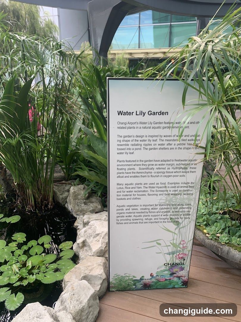 Water Lily Garden Signage