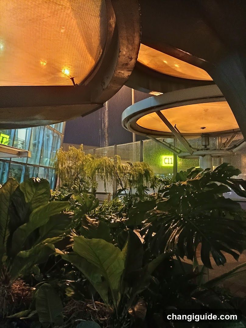 Nighttime Garden View with Overhead Lighting