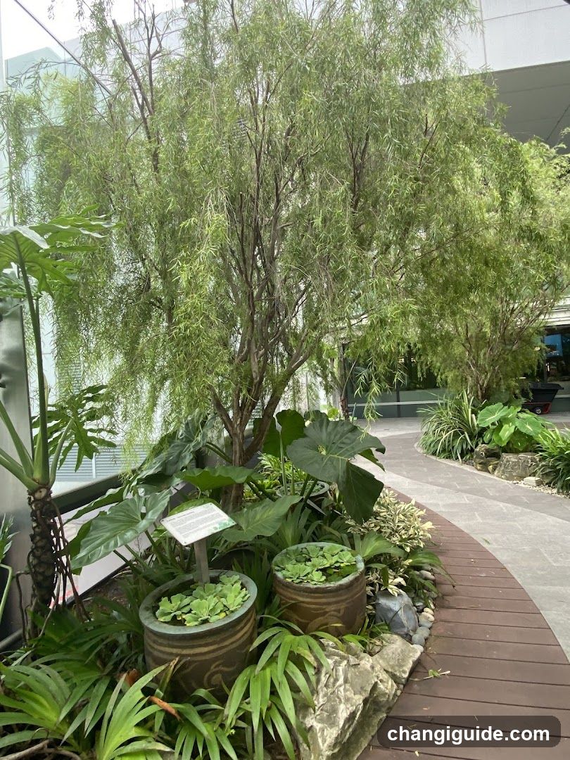 Indoor Garden Scene