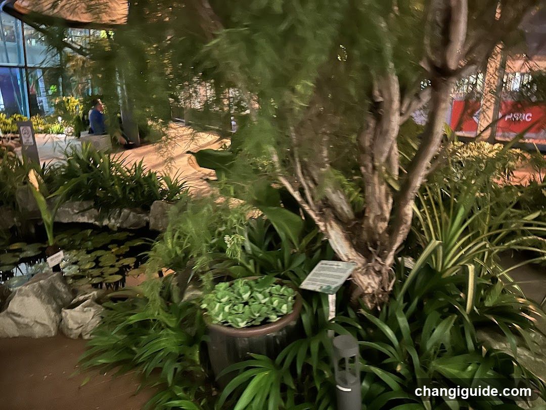 Indoor Garden Scene
