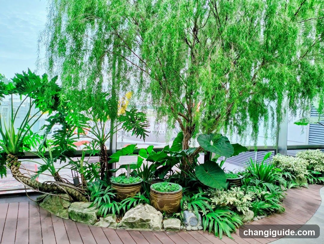 Indoor Garden Display