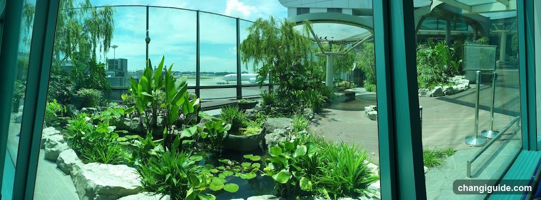 Airport Garden View