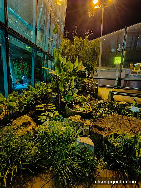 Night Garden Scene