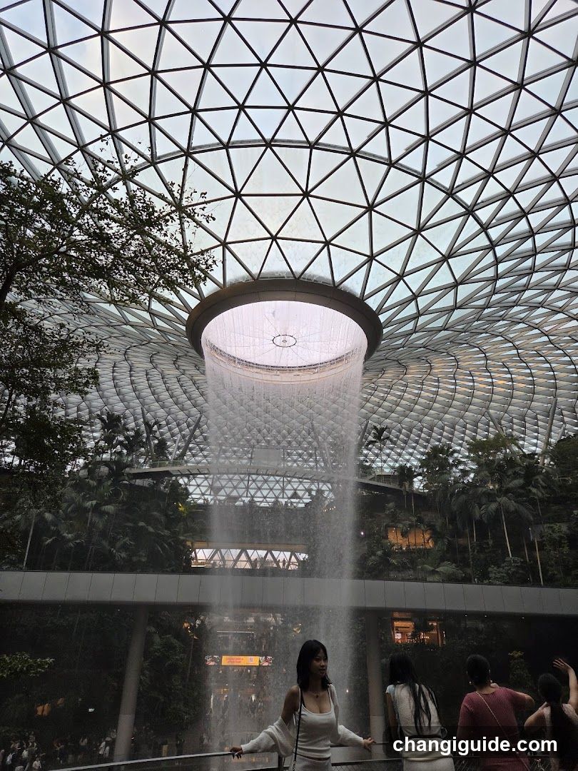 Rainforest Chamber at Jewel Changi Airport