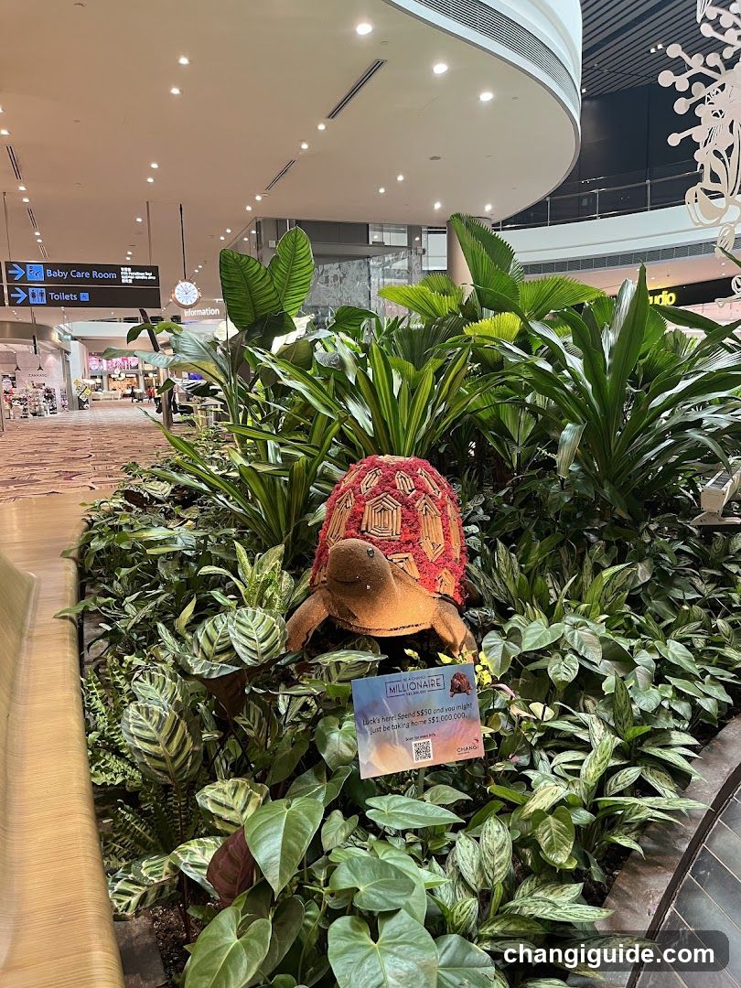 Airport Garden Display with Tortoise Statue