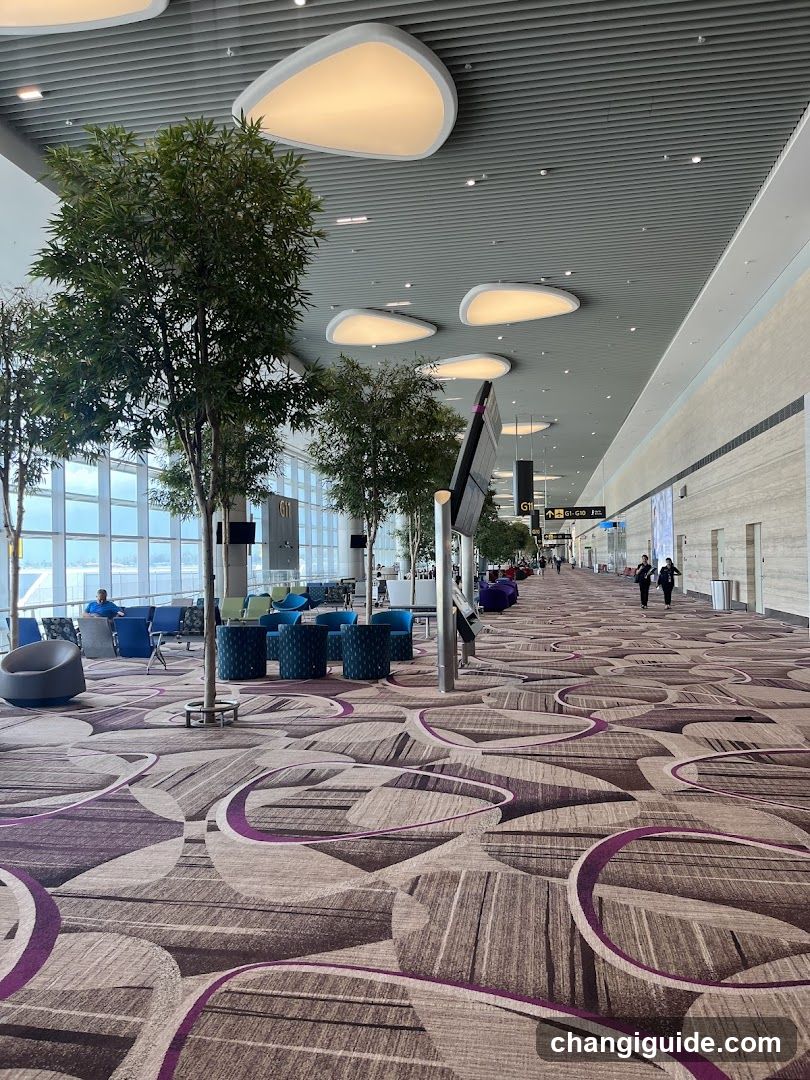 Airport Terminal Interior