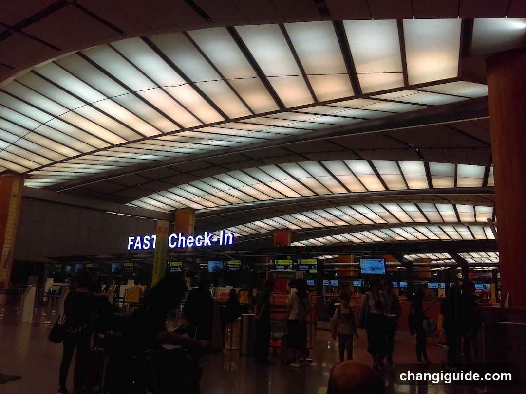Airport Check-In Area