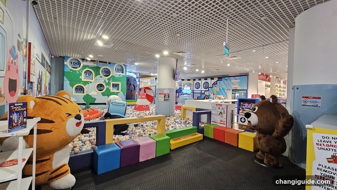 Indoor Play Area with Ball Pit and Merchandise