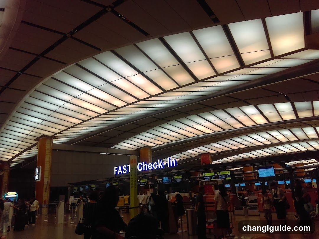 Airport Check-In Hall