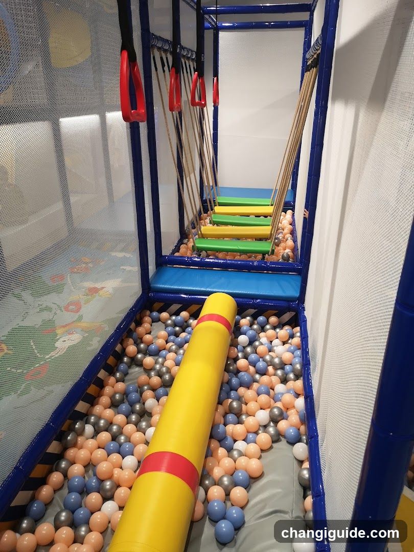 Indoor Play Area with Ball Pit and Obstacle Course
