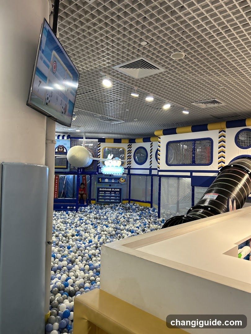 Indoor Ball Pit Play Area