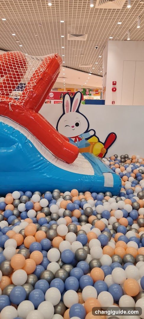 Indoor Play Area with Ball Pit and Inflatable Slide
