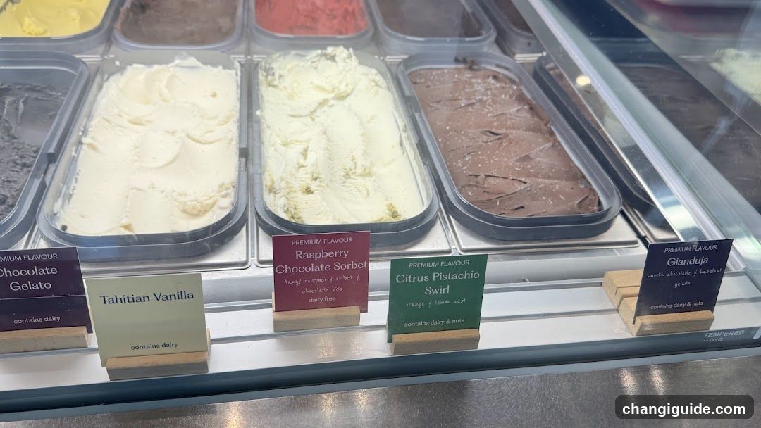 Gelato Display Case