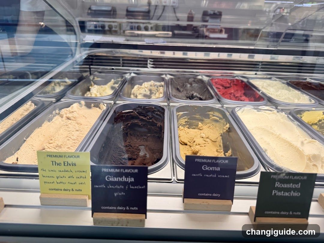 Gelato Display Case