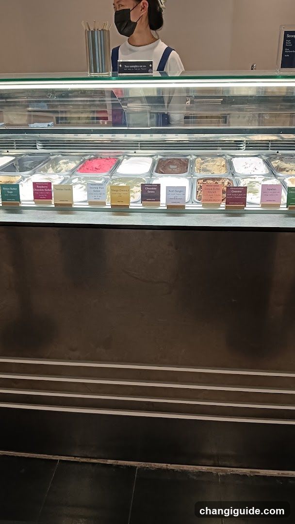 Ice Cream Display Counter