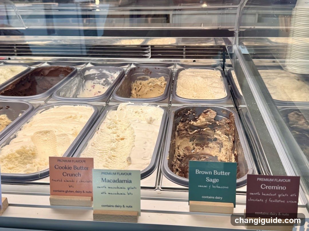 Gelato Display Case