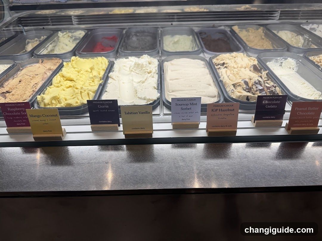 Gelato Display Case