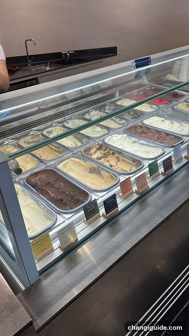 Gelato Display Case