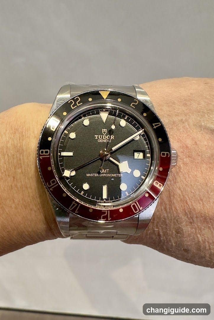 Tudor Black Bay Diver Watch on Wrist