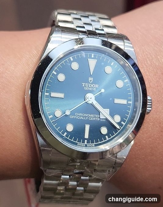 Tudor Watch on Wrist