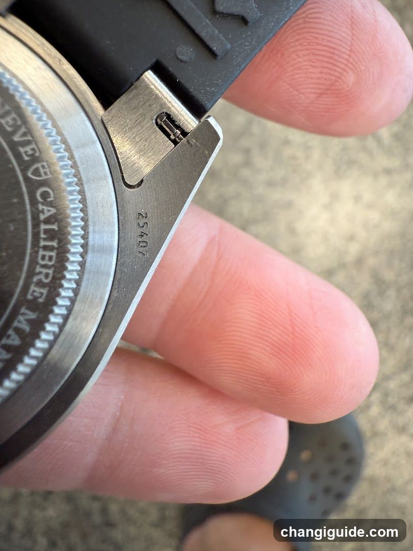 Watch Back Case Close-Up