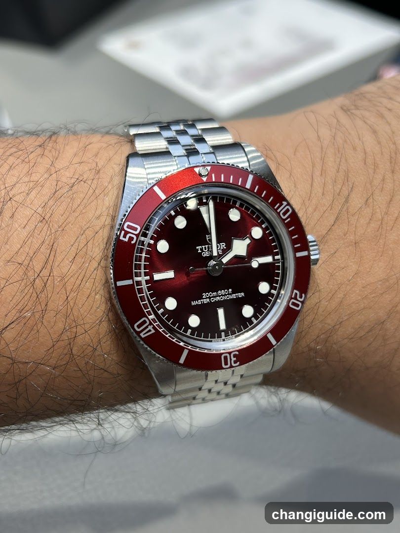 Tudor Black Bay Red Dial Watch on Wrist