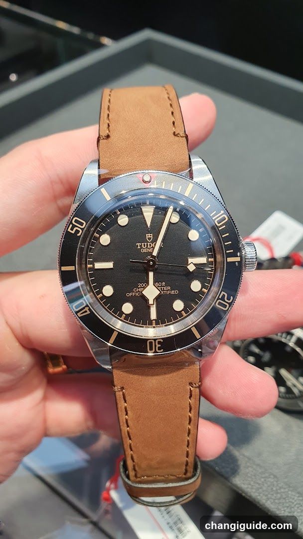 Tudor Black Bay watch on brown leather strap