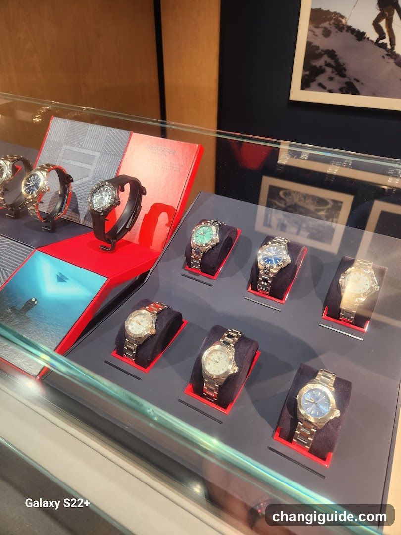 Watch Display Case