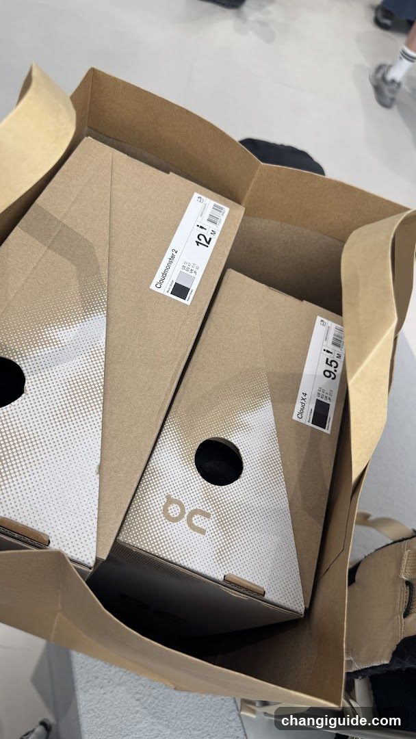 Shoe Boxes in Shopping Bag