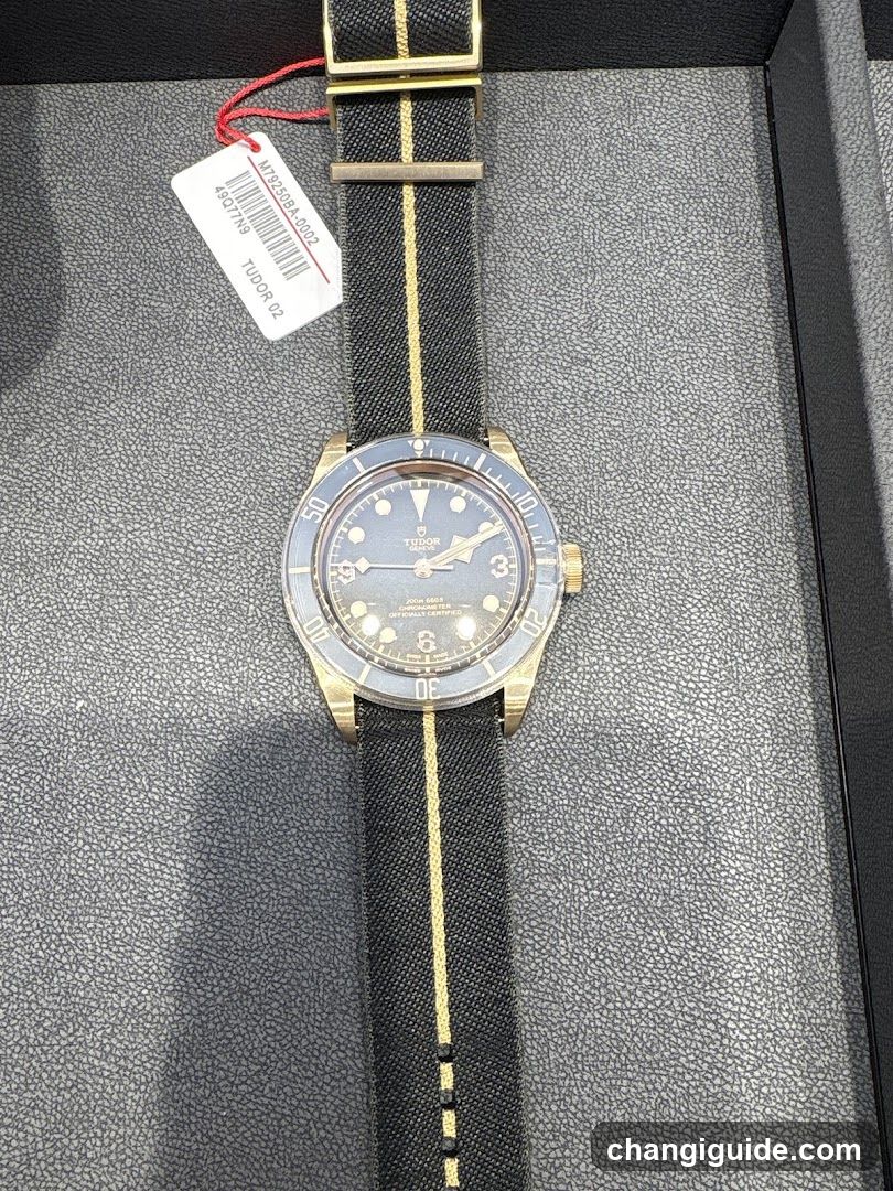 Tudor Black Bay watch with NATO strap