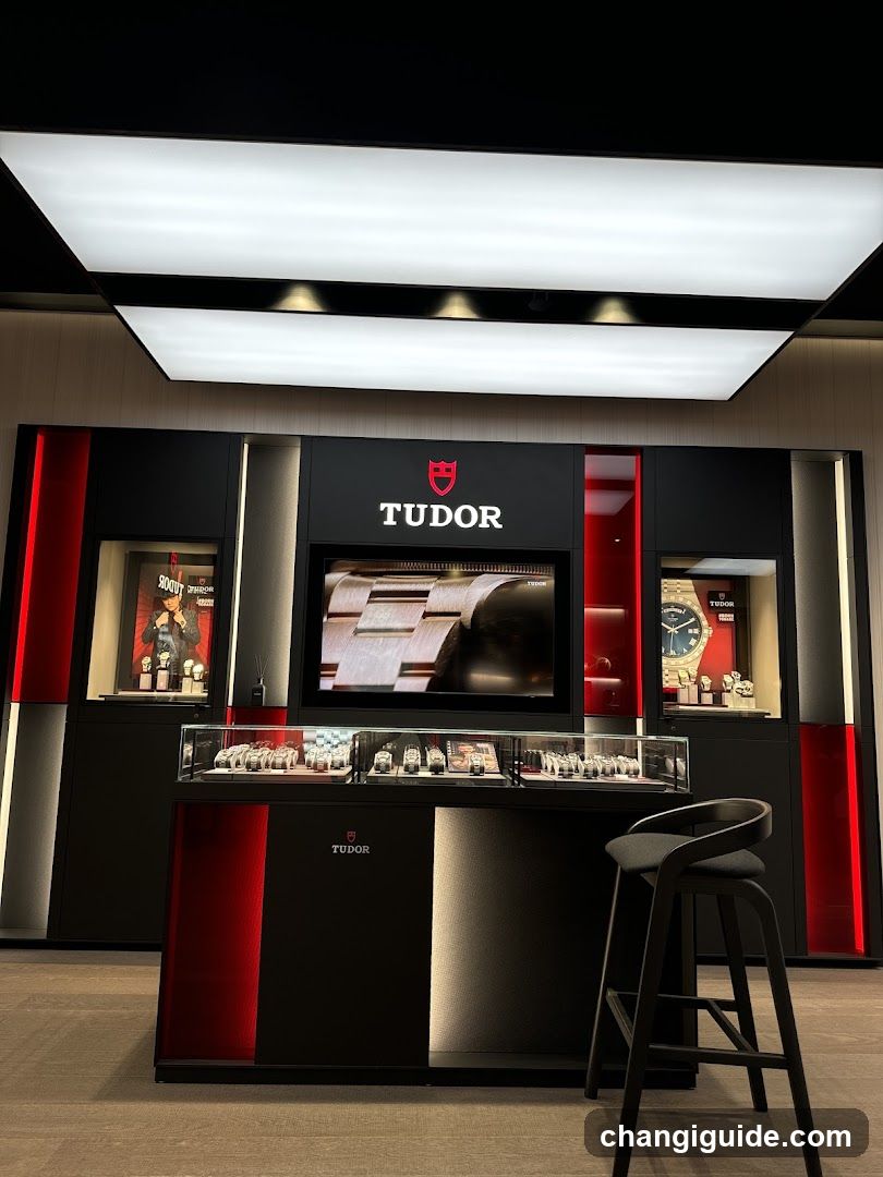 Tudor Watch Display