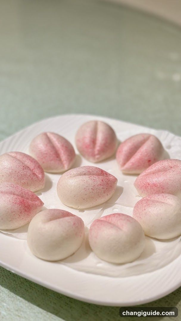 Dumplings on a Plate