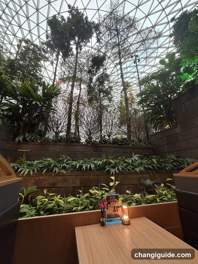 Indoor Garden Interior