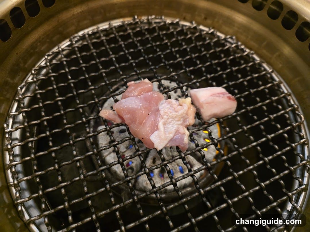 Grilled Meat on Mesh Grill