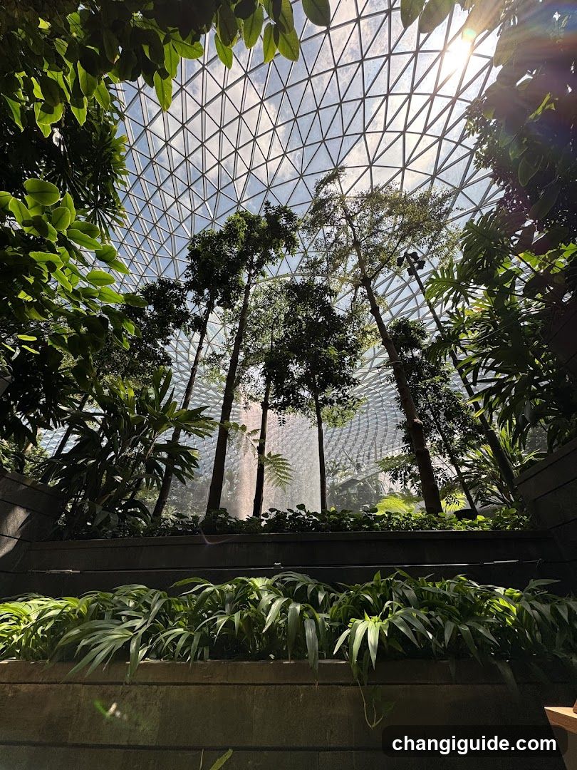 Dome Garden Interior